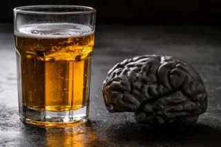 Alcohol Triggers Opposite Brain Signals in Alzheimer’s Pathways