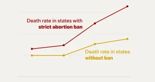 Ectopic-Death Surge Highlights Policy-Driven Care Gaps