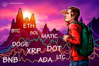 Crypto Market Update: BTC, ETH, BNB, XRP, ADA, DOGE, MATIC, SOL, DOT, LTC, and XRP Outperforms Large Caps.