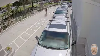Video captures chaos and courage in Twin Falls In-N-Out shooting