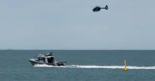 Shark Attack Claims Swimmer at Sorrento Beach, WA