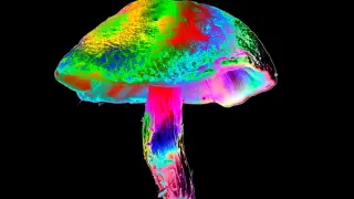 Psilocybin May Shield Nerves From Chemotherapy, Mouse Study Suggests
