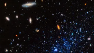 Webb Spots Galaxy-Quenching Wind in Distant Merger