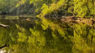 Central NC Teen Battles Rare Brain Infection From Brain-Eating Amoeba