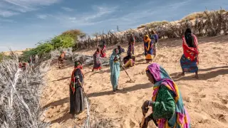 Africa's Great Green Wall: A grand dream unraveling in the desert
