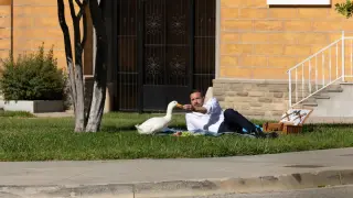 Affleck Joins Aflac for a Big Branded Campaign, Not Graffiti