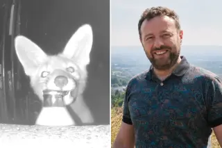 Glasgow Fox Solves the Milk Delivery Mystery