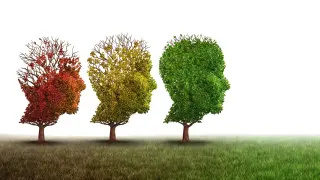 Copper Drug Reboots Brain Cleanup, Reduces Alzheimer's Toxins and Restores Memory in Lab Study
