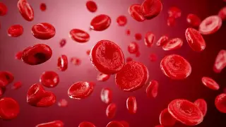 Rising CO2 Could Be Shifting Human Blood Chemistry, Study Finds