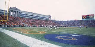Illinois Bears Stadium Vote Nears a Key Step Toward Arlington Heights Plan