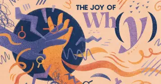 From Skin to Senses: Unraveling Pain, Pleasure, and Social Touch