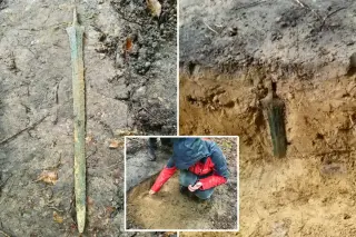 Ancient Bronze Sword Stands Upright in Polish Forest, Baffling Researchers