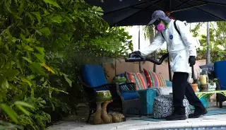 Florida’s Tampa Bay Region Faces Record Dengue Surge with Emergency Declarations