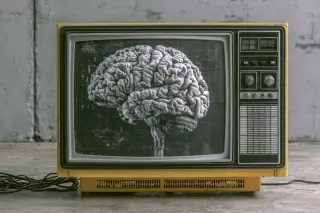 Midlife TV Viewing Linked to Brain Shrinkage; Desk Work May Guard Brain Health