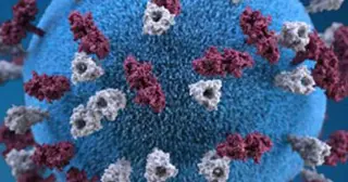 Measles risk deepens as kindergarten vaccination rates slip nationwide (NC included)