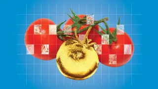 Tomatoes spike on weather, tariffs and fuel costs squeezing supply