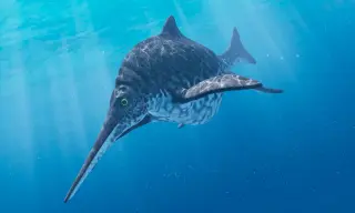 Jurassic sea ambush: a pliosaurid tooth pierced an ichthyosaur’s spine