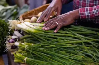 DC Consumers Turn to Local Farms as Cyclospora Concerns Rise