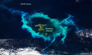 Turquoise halo around the Chatham Islands reveals a phytoplankton bloom shaped by an underwater plateau