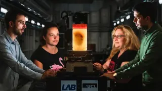 Micron-Resolution Atlas Reveals Hidden Details of the Human Body