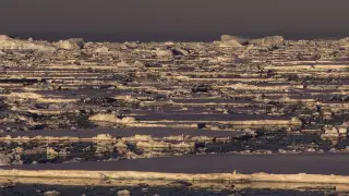 Antarctica’s sea-ice melt: winds and deep heat rewrite the southern ocean story