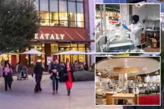 Cockroach prompts health shutdown at Terra atop Eataly Silicon Valley