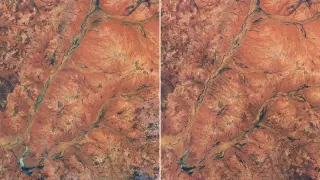 NASA Satellite Data Captures Rare Wildflower Bloom in Western Australia's Murchison Region