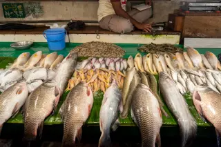 Seafood-Linked Flesh-Eating Bacteria Sparks Florida Cases: 12 Ill, 1 Dead