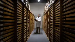 Backroom Discoveries: Museums Unveil New Scientific Insights