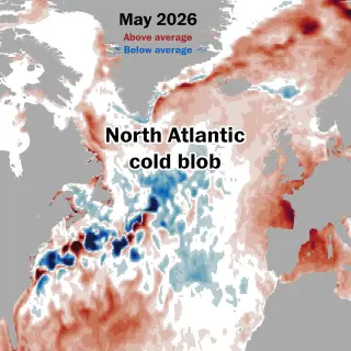 Cold North Atlantic Blob Signals Possible Shifts in Ocean Circulation