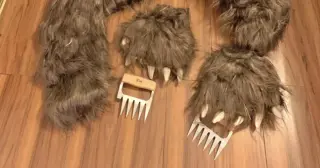 Bear-costume scam leads to insurance-fraud sentences for trio in California