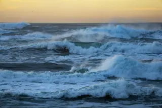 Two Men Found Dead After Midnight Canoe Outing in Tomales Bay