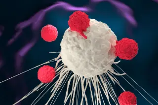UCLA Researchers Find E2F3 as a Target in RB-Deficient Cancers