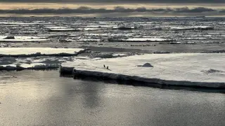 Antarctica’s sea ice plunges as a three-stage cascade unlocks a new climate state
