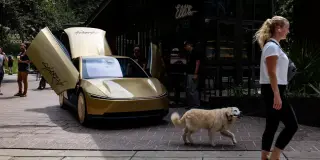 Tesla Robotaxis Face Nighttime Blind Spot as Musk Acknowledges Struggle to Detect Pets