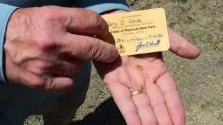 Tennessee Grandfather Uncovers 2.29-Carat Yellow Diamond at Arkansas Park