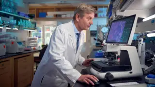 Tuning the gut: microbiome may boost cancer therapies