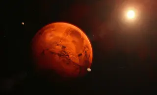 Some Fungi Could Weather the Martian Journey, NASA Study Finds
