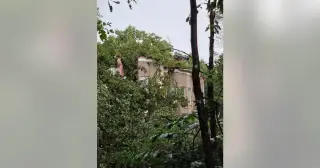 Storms Deliver 60 mph Winds, Leave 50K in Metro Atlanta Without Power