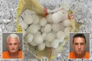 Florida businesses accused of using mothballs to deter endangered shorebirds