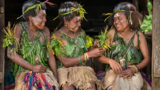 Denisovan DNA still influences Oceanian immunity, but researchers remain unsure why