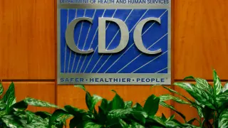 Michigan Faces Alarm Over Drug-Resistant Fungus Candida auris, CDC Warns