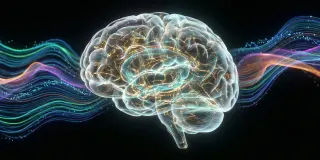 Wakeful sleep-like brain waves may underlie attention lapses in ADHD