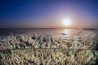 2026 Planetary Health Check: Seven Earth Systems at Record Breach Levels