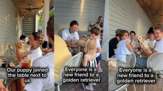 Golden Retriever Honey Turns Restaurant Visit Into a People-Greet Parade