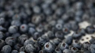 FDA flags frozen GreenWise berries as highest-risk recall amid E. coli concerns