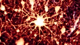 Cancer Drugs Reversing Alzheimer's Brain Changes in Mice Show Promise