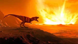 Rare Outer-Solar-System Meteorite Linked to Dinosaur Extinction