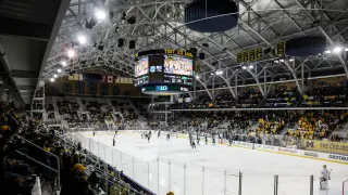 Lawsuit Alleges Decades-Long Sexual Hazing in Michigan Hockey