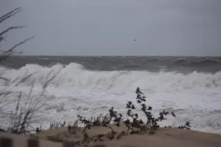 Nor'easter Forces Full Cancellation of Oceans Calling Festival in Maryland